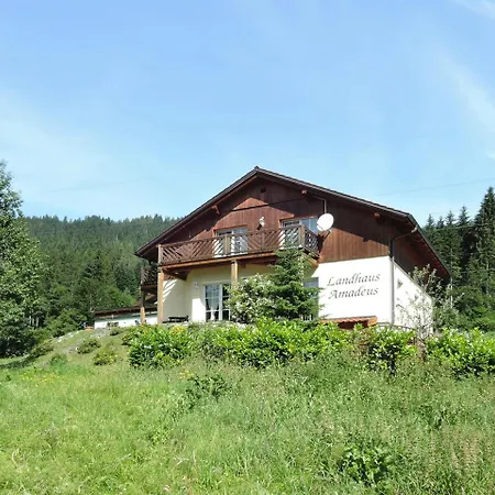 Amadeus, Radstadt